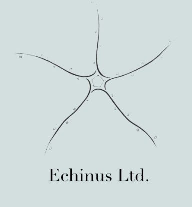 Echinus Ltd